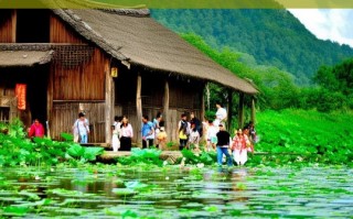 白洋淀之旅，体验农家院的独特魅力，白洋淀农家院之旅