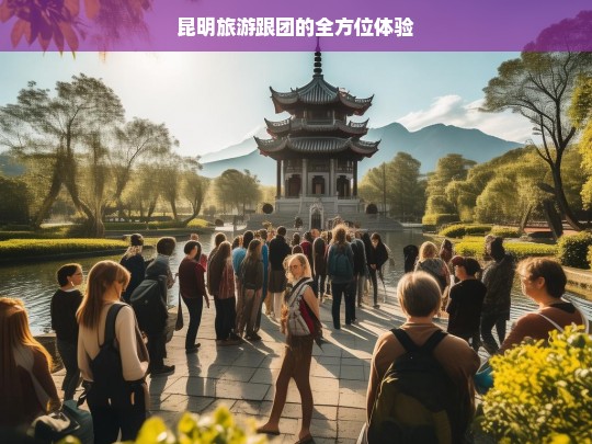 昆明旅游跟团的全方位体验，昆明旅游跟团体验全览-第1张图片-西藏旅游网