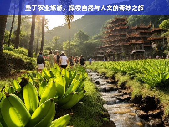 垦丁农业旅游，探索自然与人文的奇妙之旅，垦丁农业旅游，自然与人文的奇妙融合之旅-第1张图片-西藏旅游网